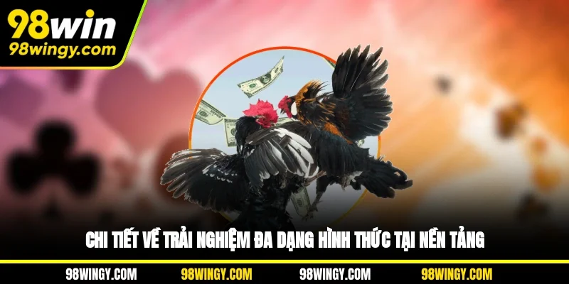 Chi tiết về trải nghiệm đa dạng hình thức tại nền tảng