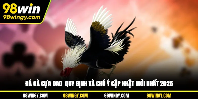 Đá Gà Cựa Dao - Quy Định Và Chú Ý Cập Nhật Mới Nhất 2025