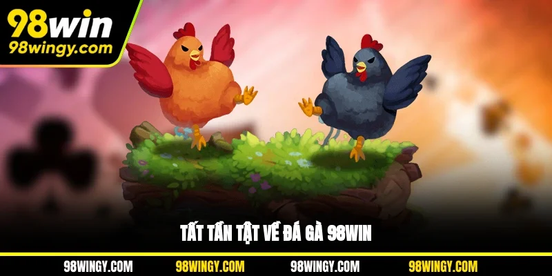 Tất tần tật về đá gà 98WIN